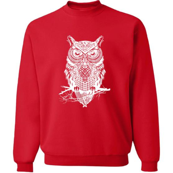 Cool Owl Sweatshirt